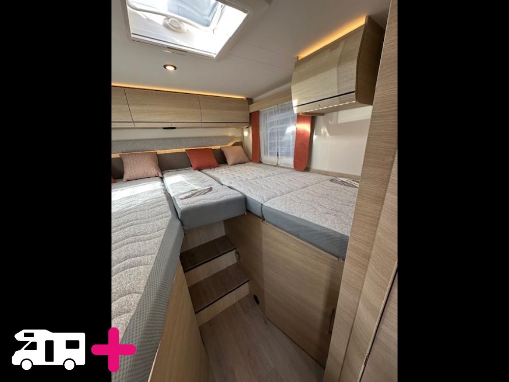 , C55 65 ANS -
            2026