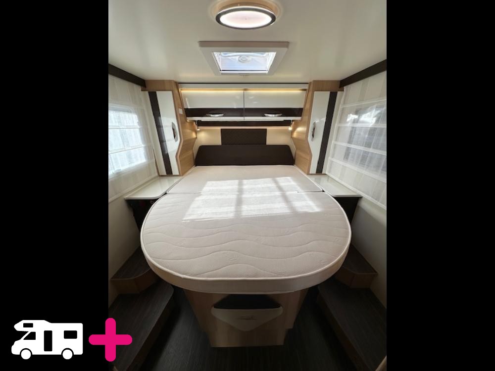 , yearling 89 -
            2021