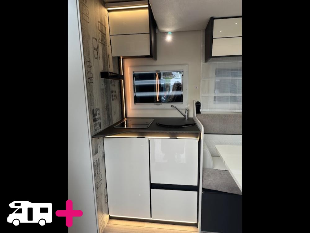 , YEARLING 81 -
            2026