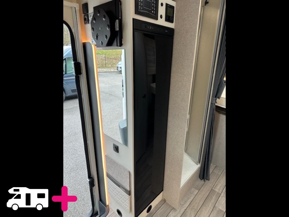 , YEARLING 81 -
            2026