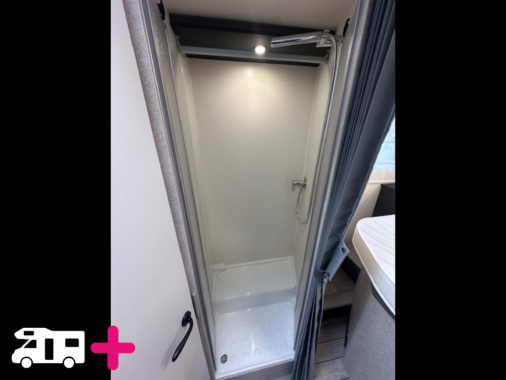 , YEARLING 81 -
            2026