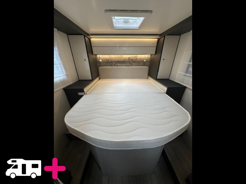 , YEARLING 81 -
            2026